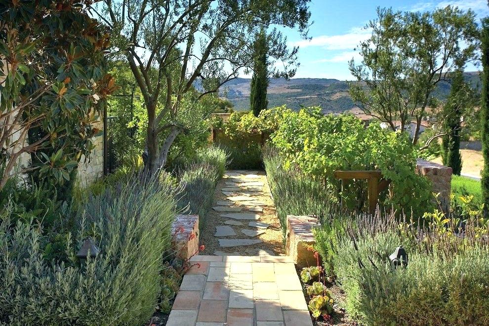 Landscaping – garden and landscape design by Les Trois Fleurs, Lebanon