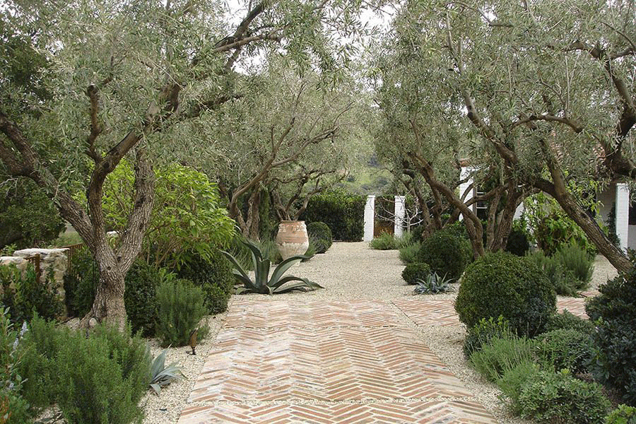 Landscaping – garden and landscape design by Les Trois Fleurs, Lebanon